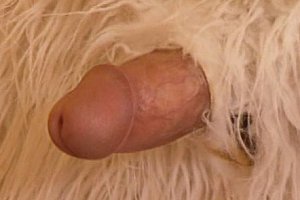 teenfuckyouhd